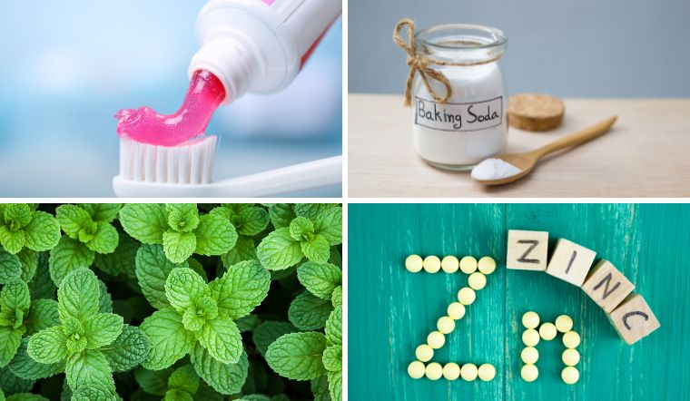 Thành Phần Thiên Nhiên Trong Kem Đánh Răng Cho Người Niềng